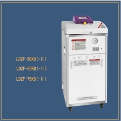 SHENAN Vertical pressure steam sterilizer LDZF LDZM LDZH